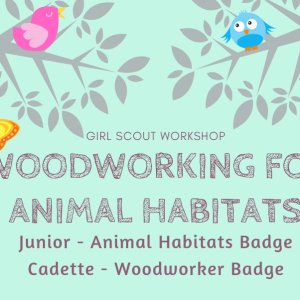 Woodworking Animal Habitats flyer