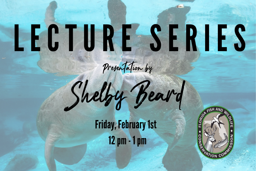 Lecture headers | River Center