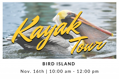 kayak tour flyer