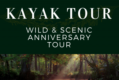 Kayak Tours graphic