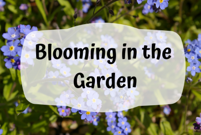 Blooming in the Garden flyer