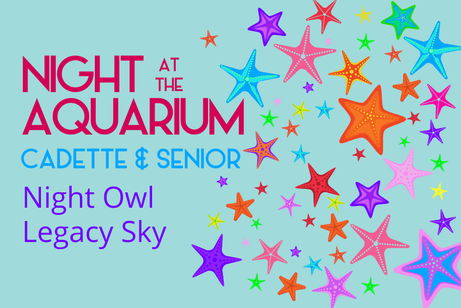 Night at the Aquarium - website event photo