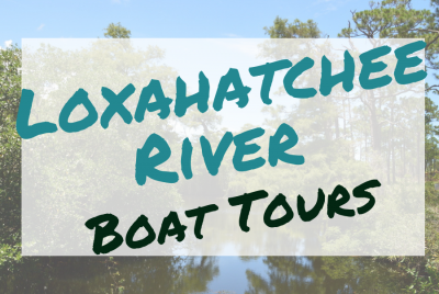 Boat Tour Calendar Header
