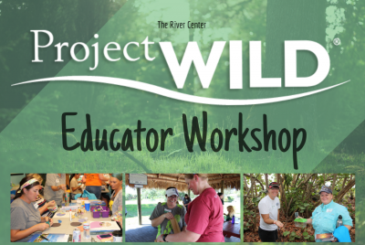 project wild flyer