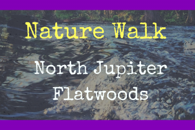 Naturalist Series-Nature Walk flyer