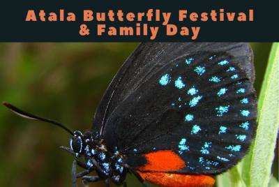 Atala Butterfly Festival & Family Day